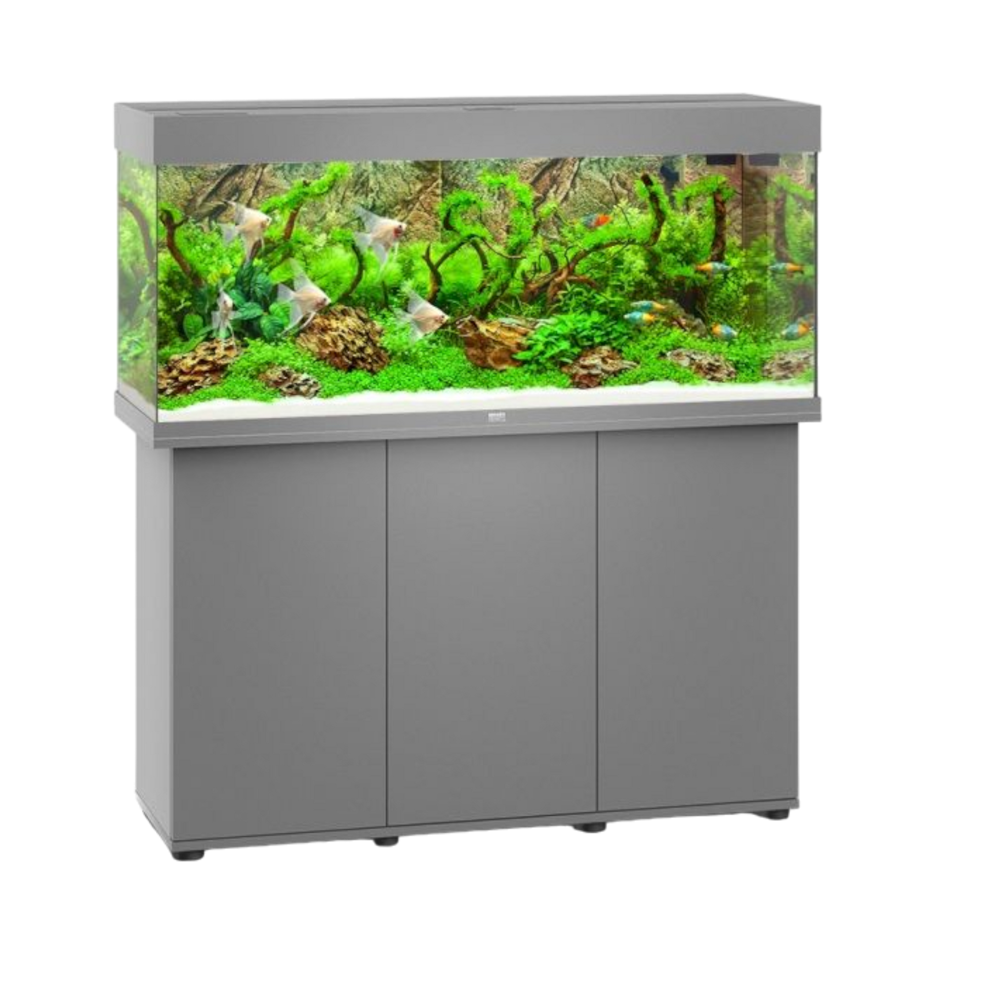JUWEL RIO 240 Led - AQUAWORLD.AT