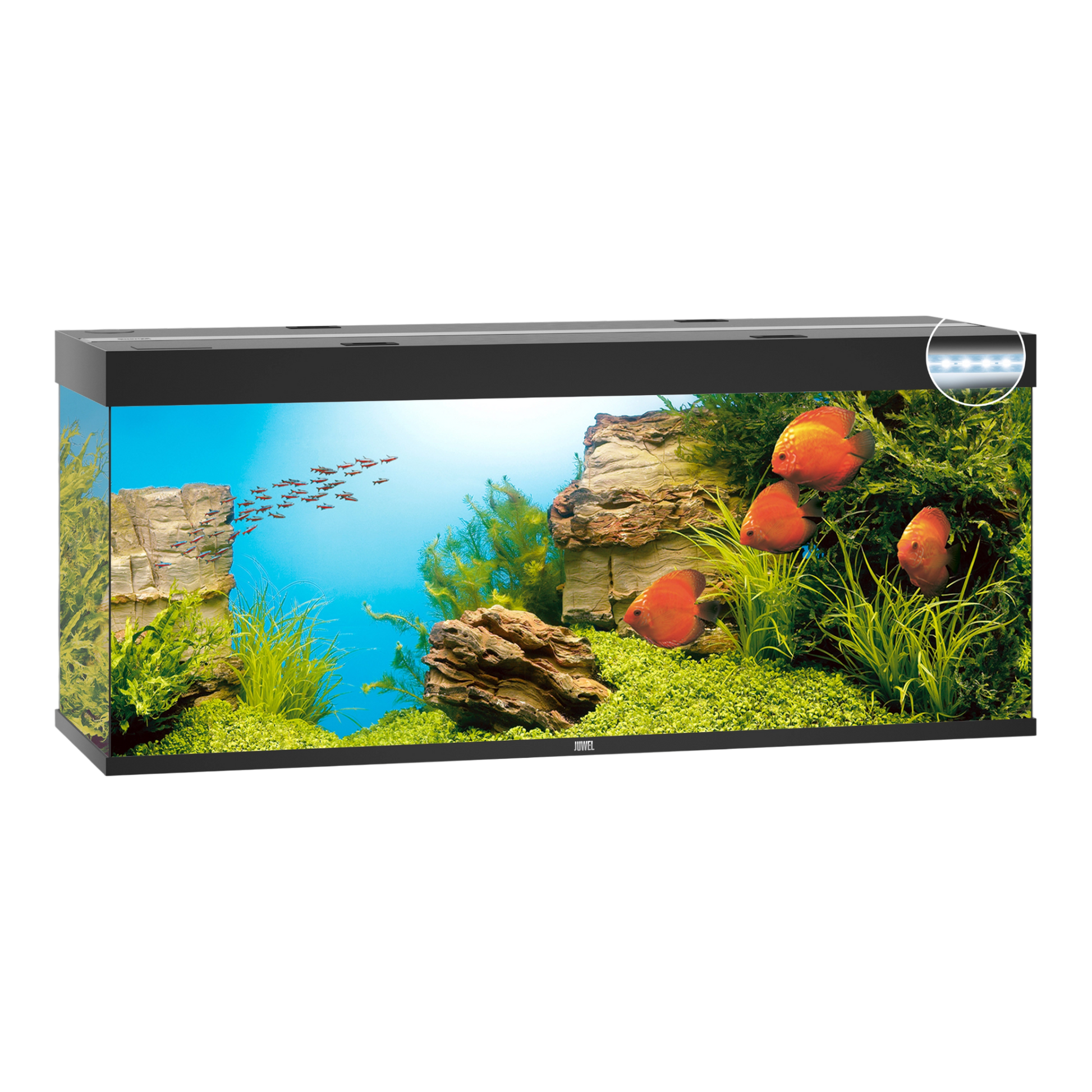 JUWEL RIO 450 Led 
