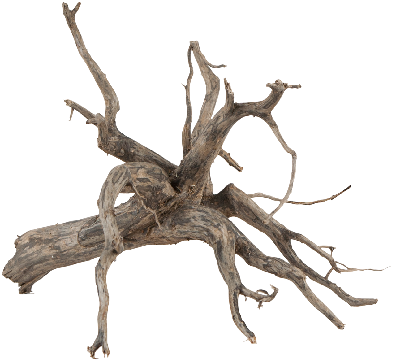 sera Scaper Root - AQUAWORLD.AT