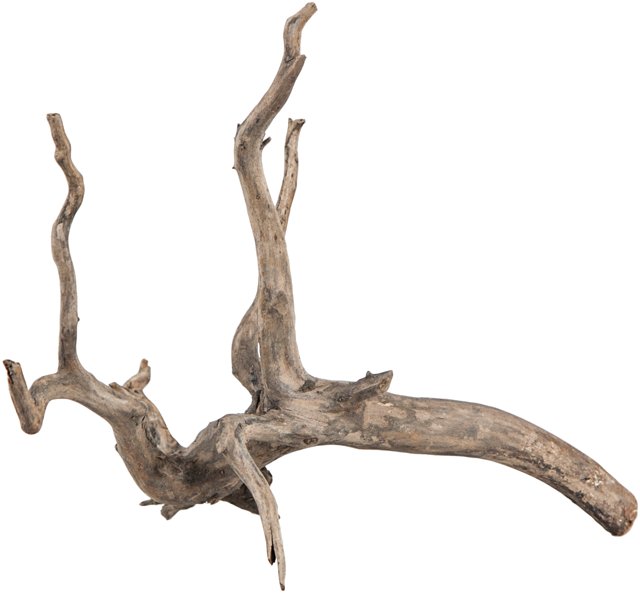 sera Scaper Root - AQUAWORLD.AT