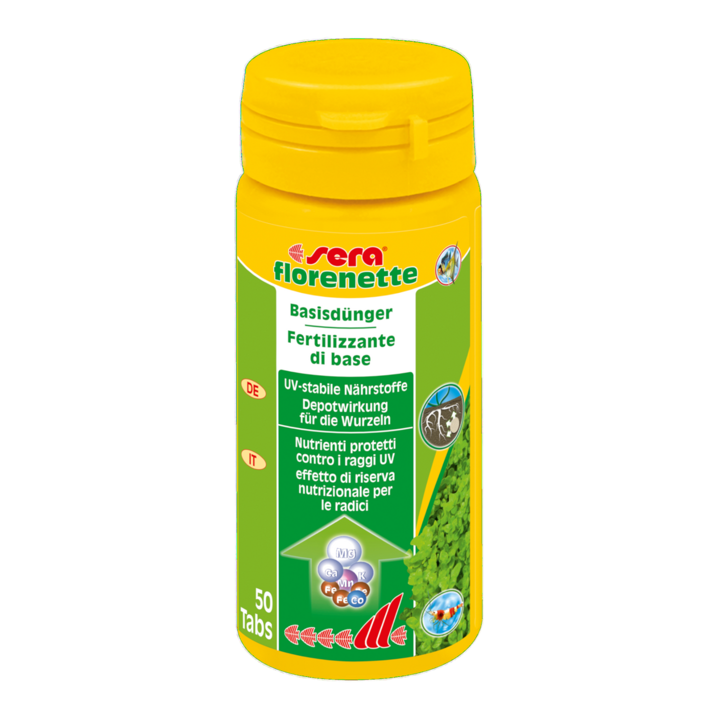 sera florenette - AQUAWORLD.AT