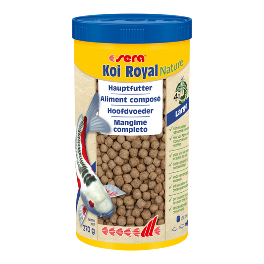 sera Koi Royal Nature Large (6 mm) ist das Hauptfutter aus schonend hergestelltem Granulat ohne Farb- und Konservierungsstoffe.Wertvolle Inhaltsstoffe wie Omega-Fettsäuren und immunstimulierende Mannan-Oligosaccharide unterstützen die gesunde Entwicklung und Abwehrkräfte bis ins hohe Alter.