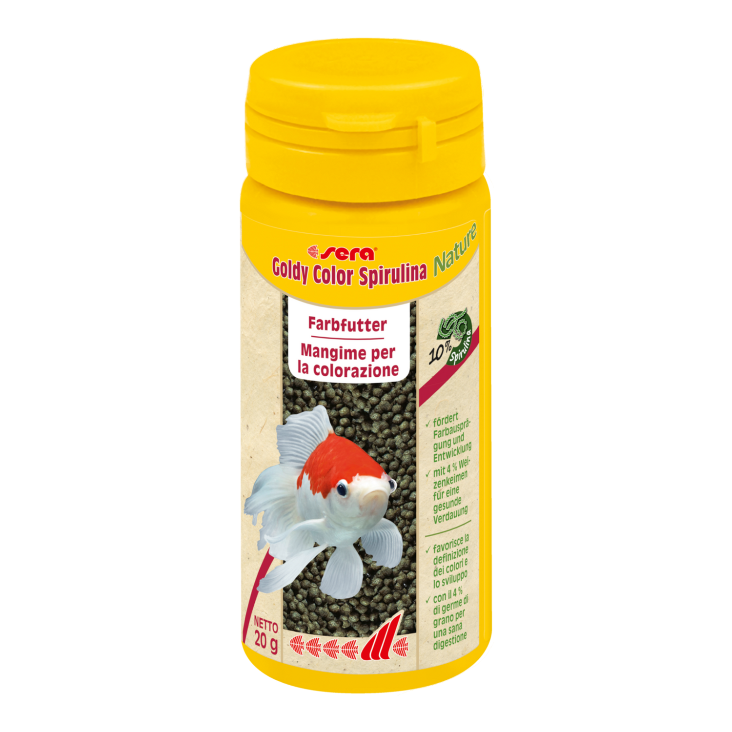 sera Goldy Color Spirulina ist das Farbfutter aus schonend hergestelltem Granulat ohne Farb- und Konservierungsstoffe für größere Goldfische, anspruchsvolle Zuchtformen und andere wählerische Kaltwasserfische.